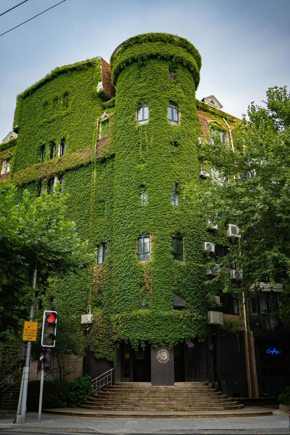 Green roof installation